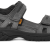 DARK GULL GREY