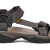 DARK GULL GREY