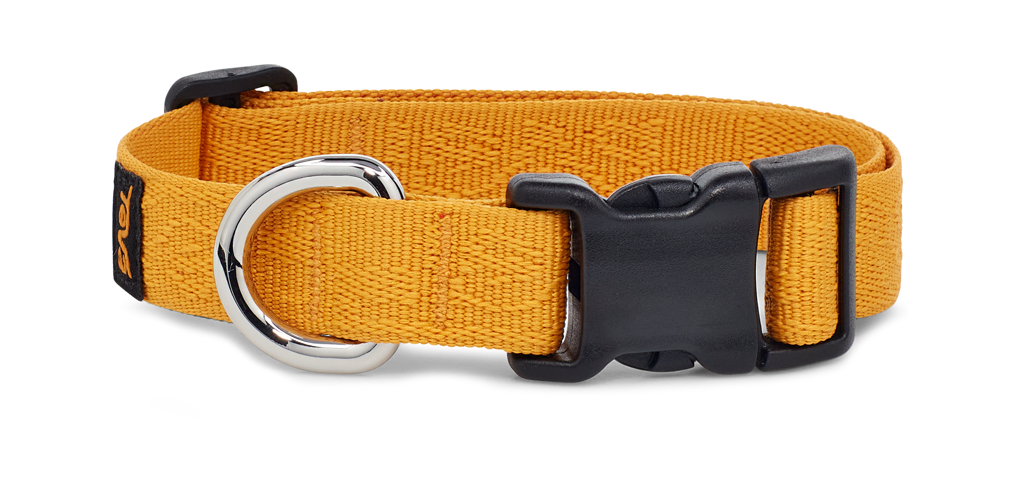 All GenderTeva Dog Collar 19Mm - Image 2